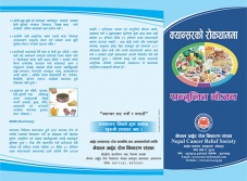 Cancer and Nutrition Brochure